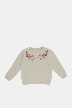 Infant Girls Beige Floral Neck Embroidery Pullover