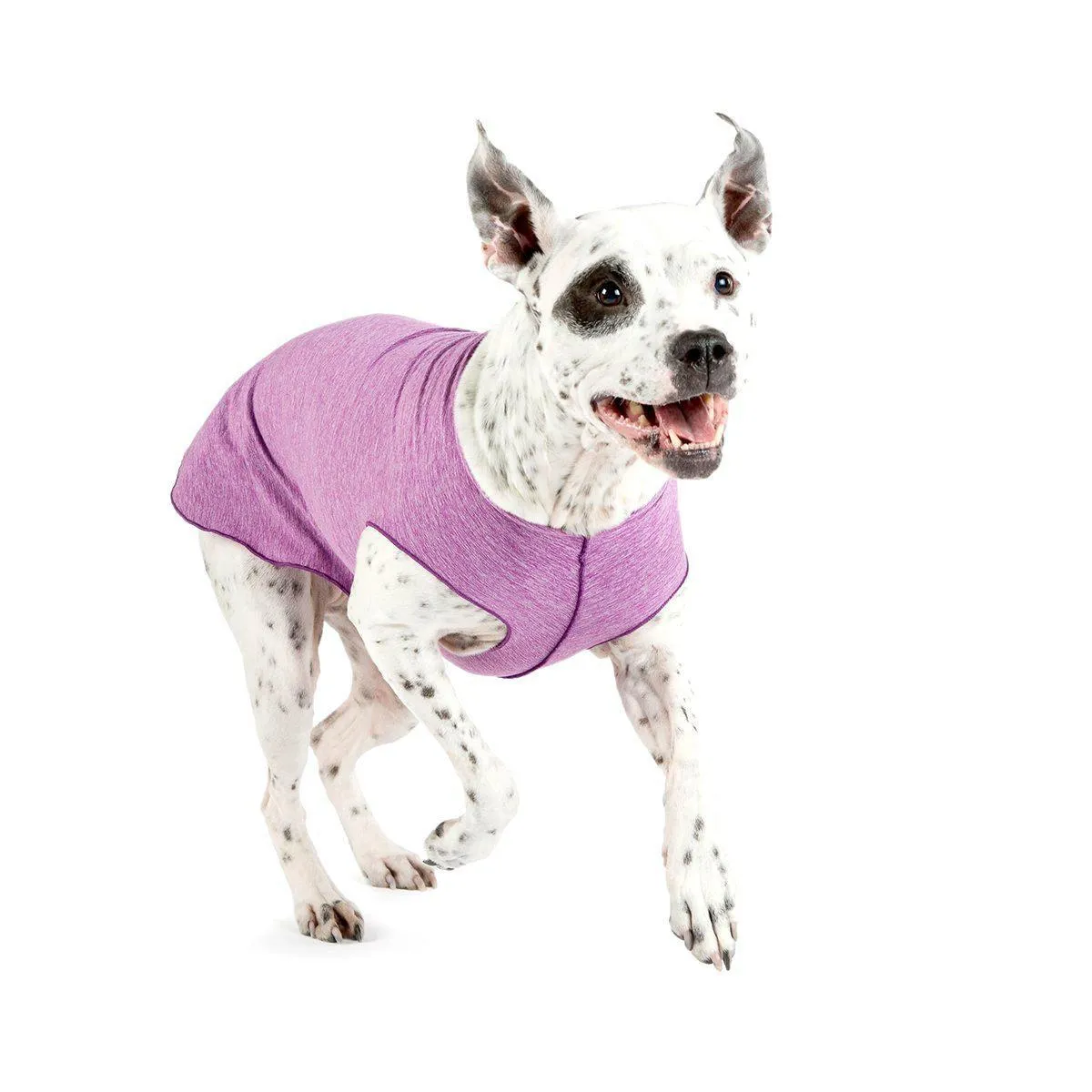 Sun Shield Dog Tee Violet