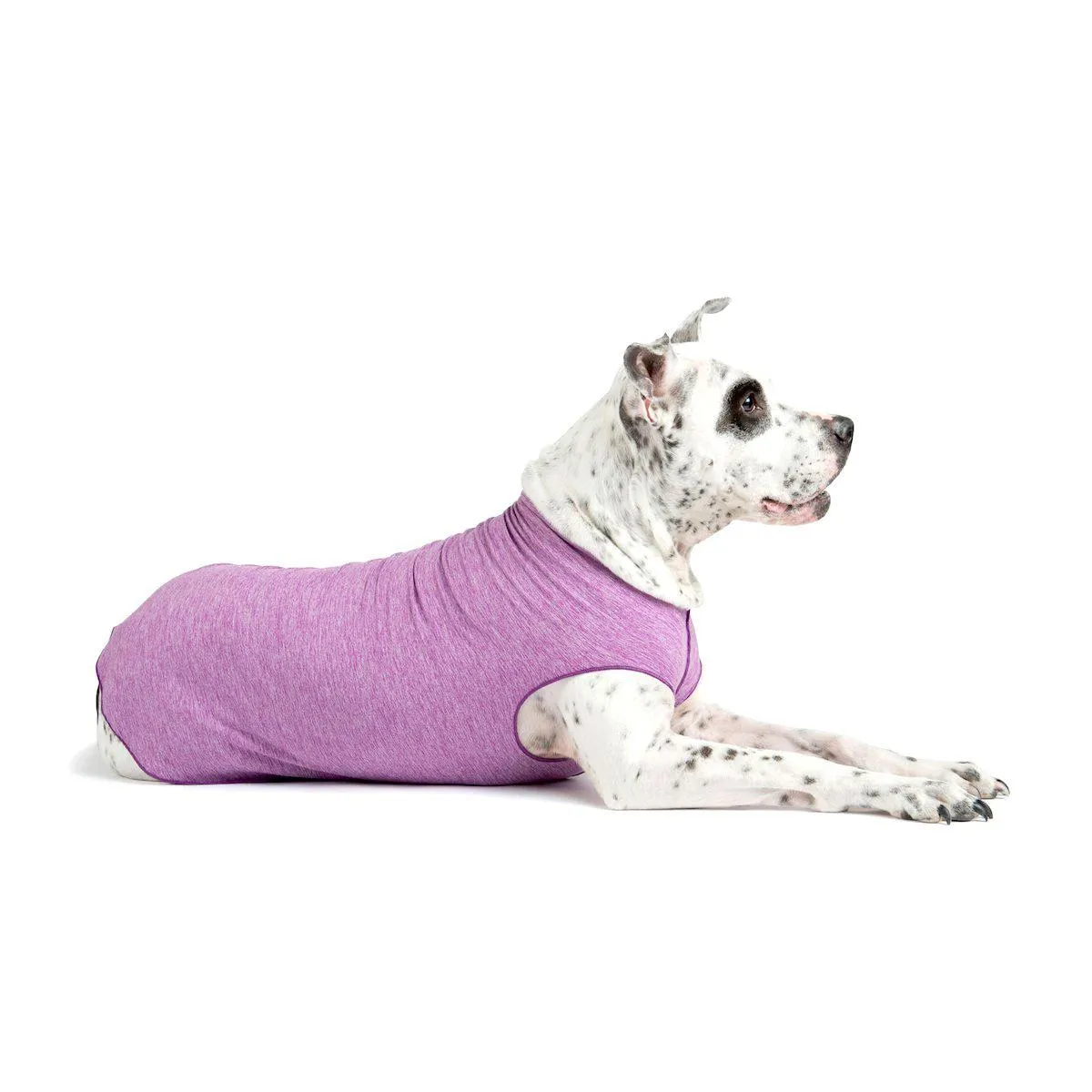 Sun Shield Dog Tee Violet