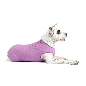 Sun Shield Dog Tee Violet